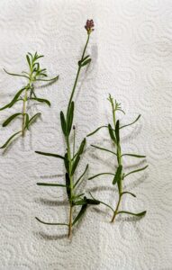 PXL_20260816_084841796~2